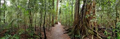 Mary Cairncross Nature & Bird Walk
